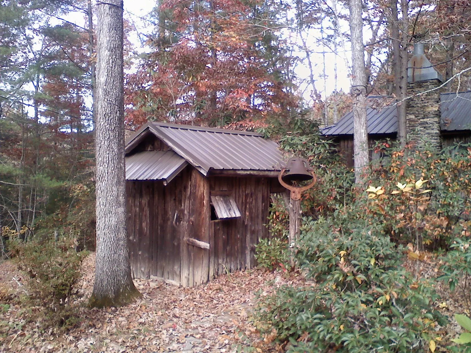 Small metal roof on a rough sawn shed in the woods in Harrison